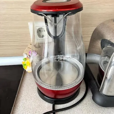 Lejlighed Cozy With Mountain View Bansko