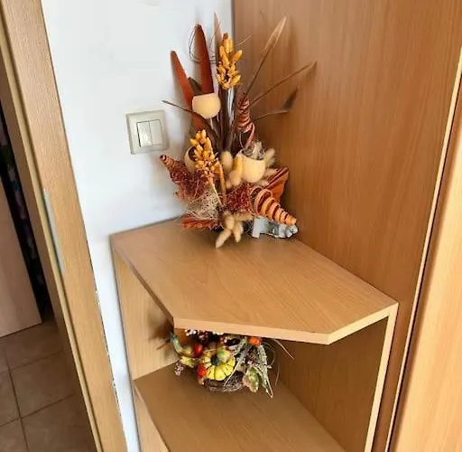 公寓 Cozy With Mountain View *